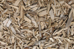 biomass boilers Woodhead